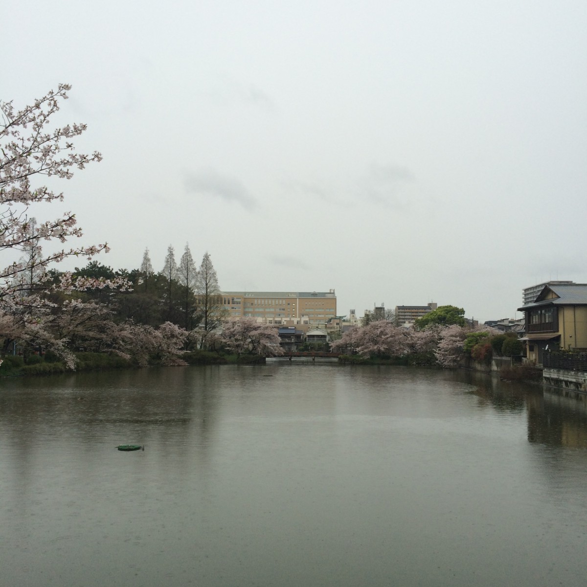 2015年4月8日(水)桃が池