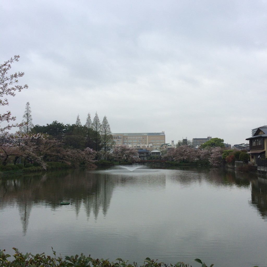 2015年4月11日の桃が池