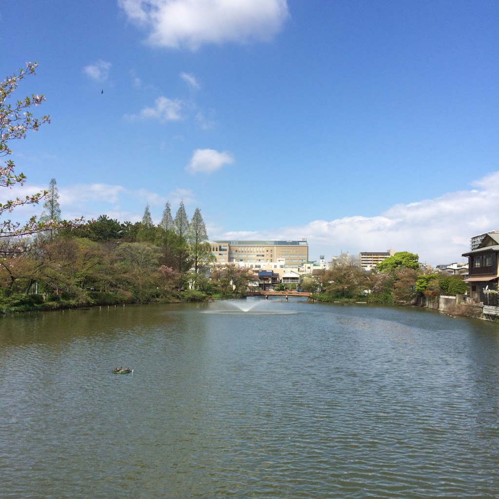 2015年4月15日(水)桃が池