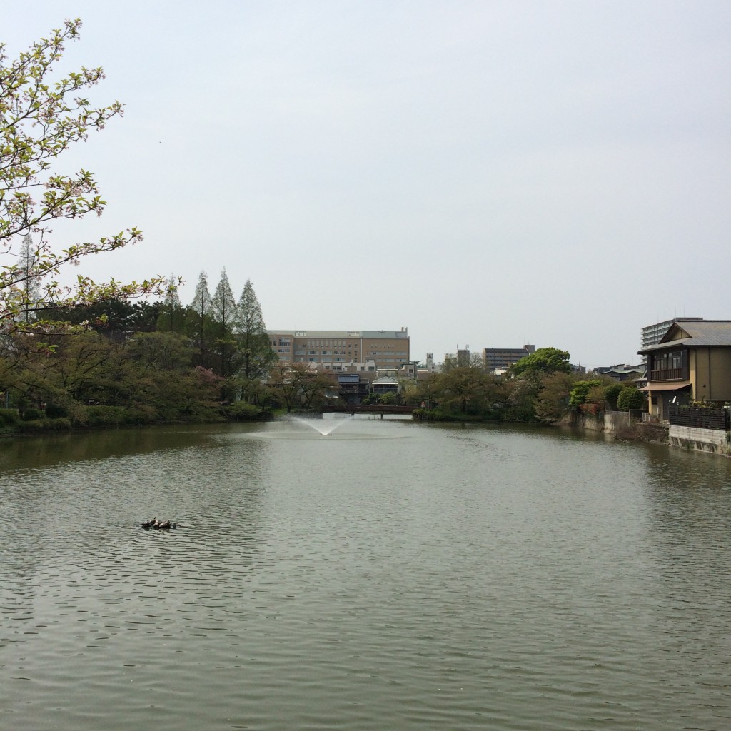 2015年4月16日(木)の桃ヶ池