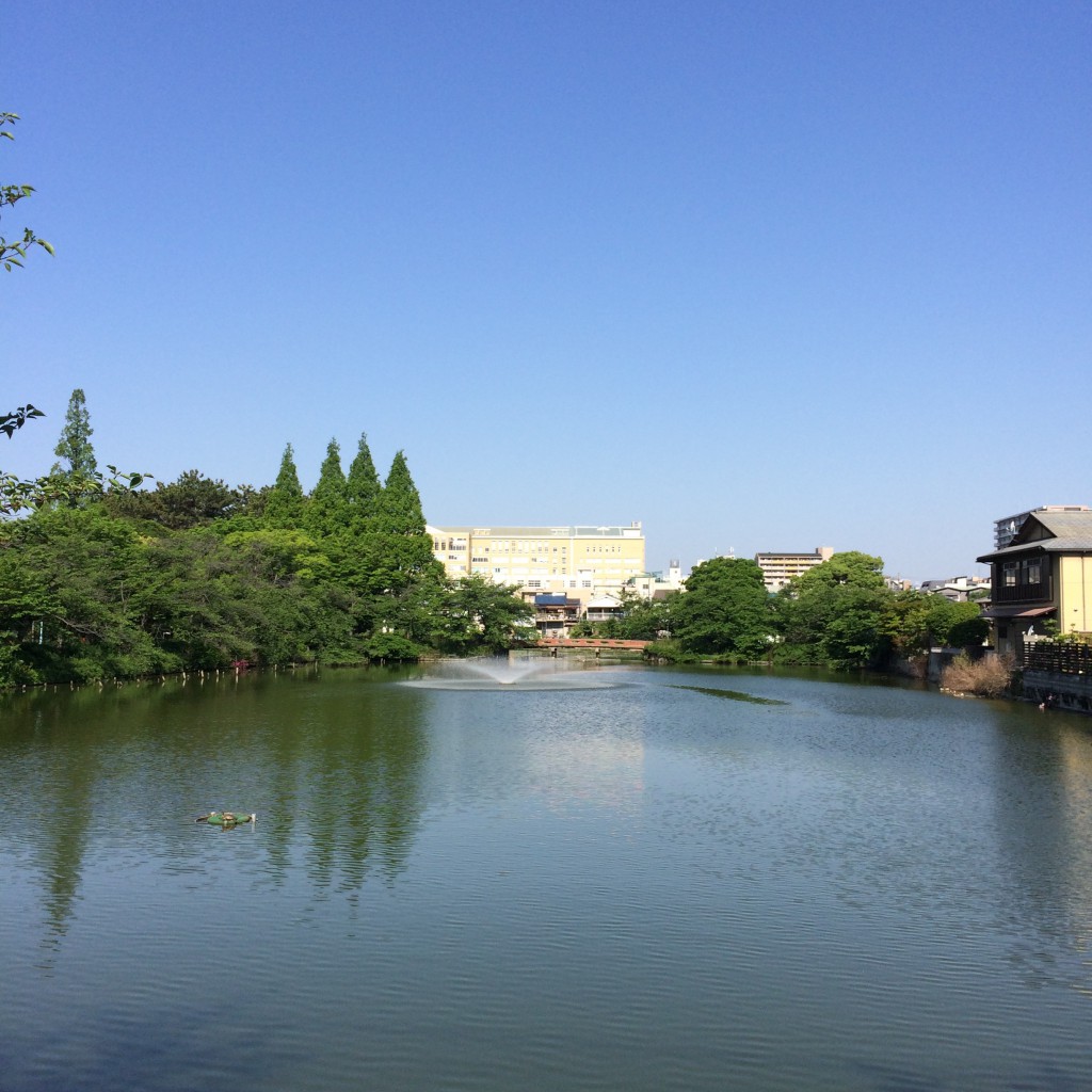 2015年5月13日(水)8時頃の桃が池