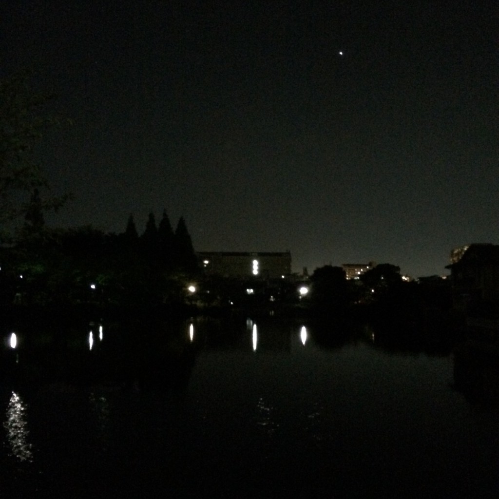 2015年5月19日(火)夜8時頃の桃が池