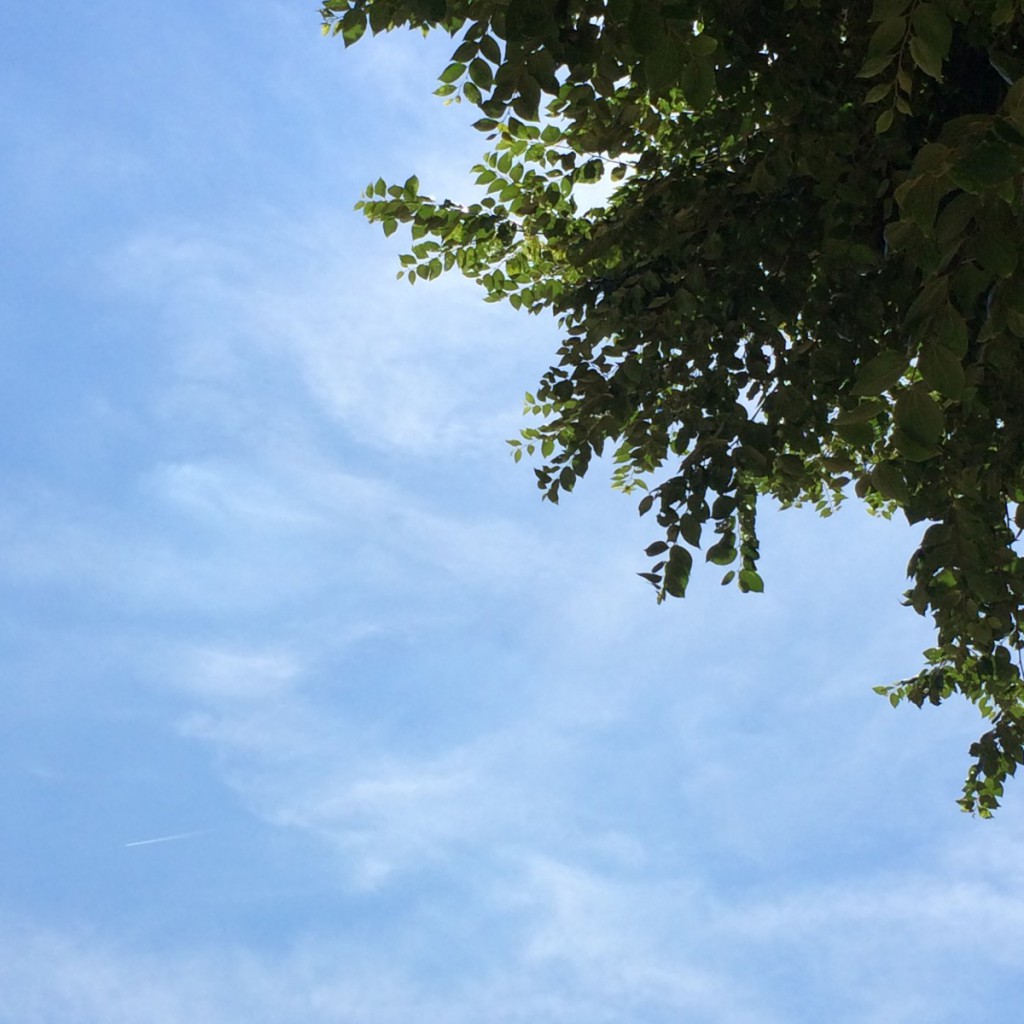 2015年9月14日(月)アイキャッチ画像
