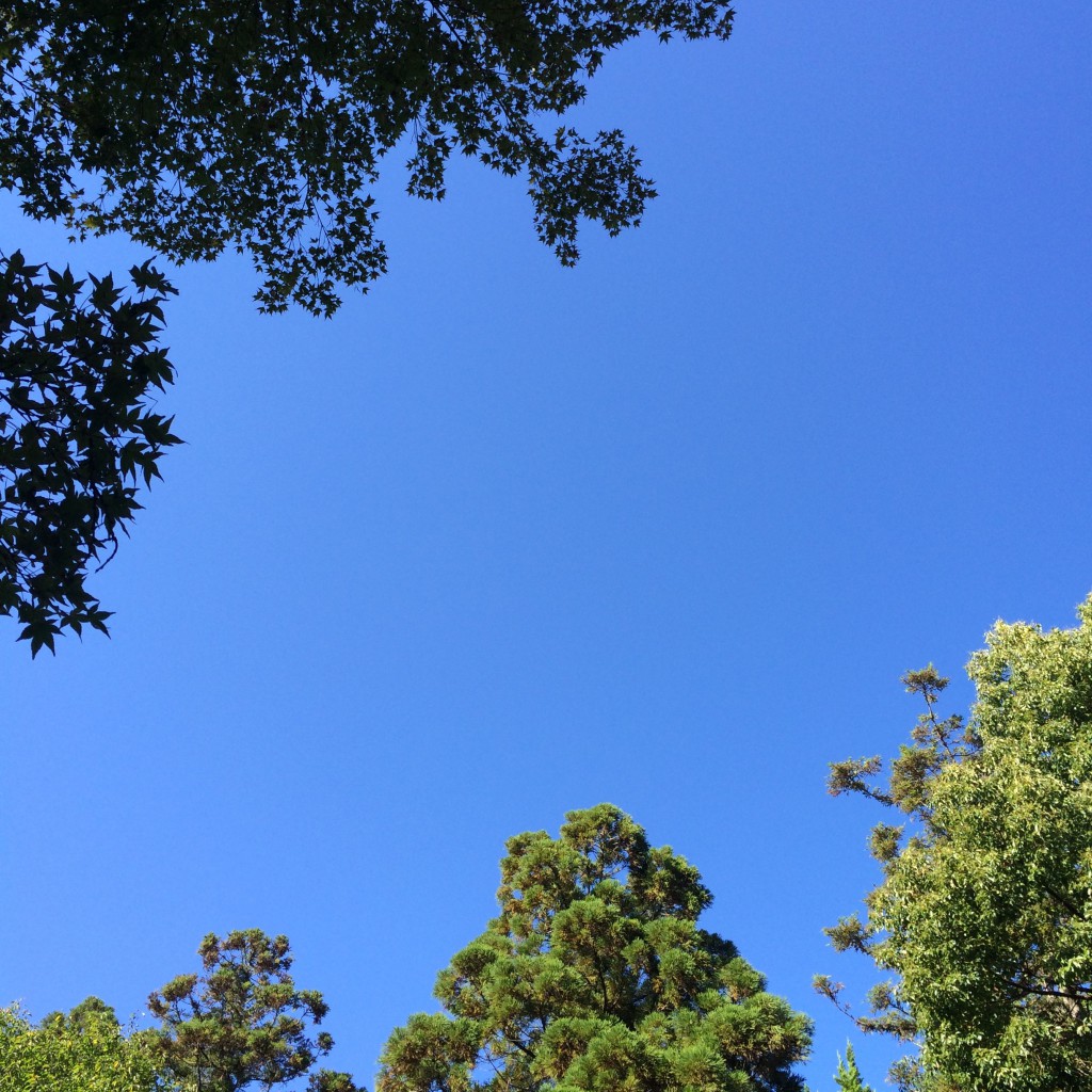 2015年10月7日(水)アイキャッチ画像