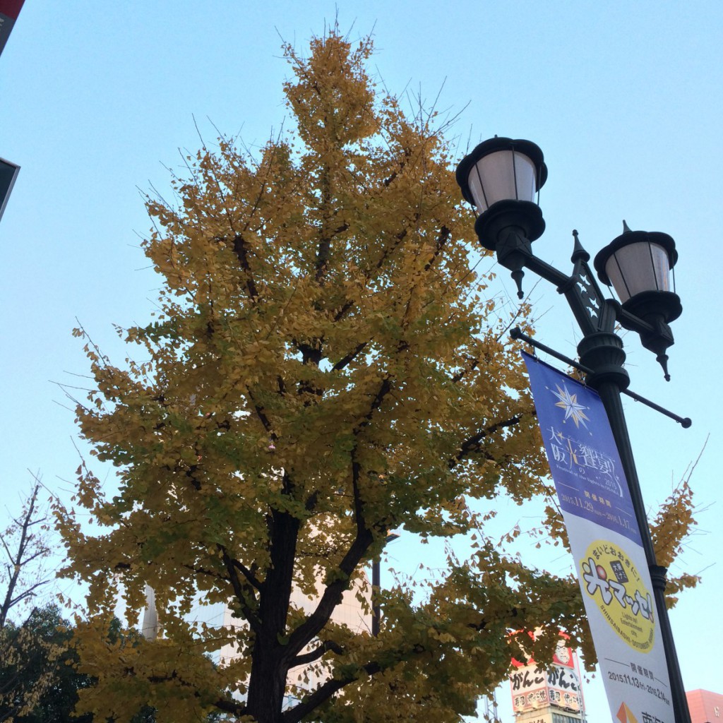 2015年12月29日(月)アイキャッチ画像