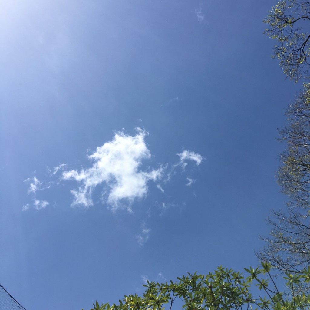 2016年5月8日(日)アイキャッチ画像