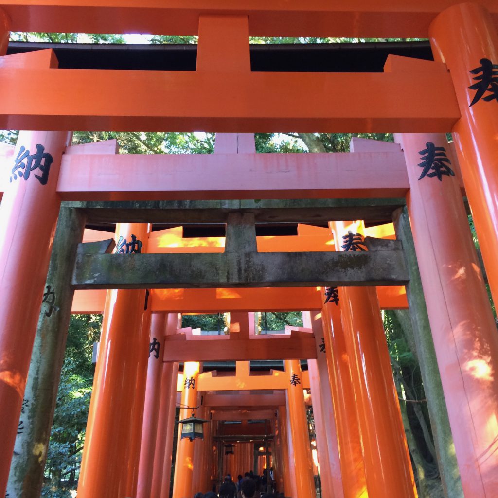2017年1月2日(月)アイキャッチ画像