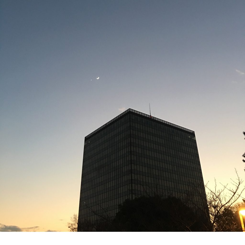 2017年3月13日(月)アイキャッチ画像
